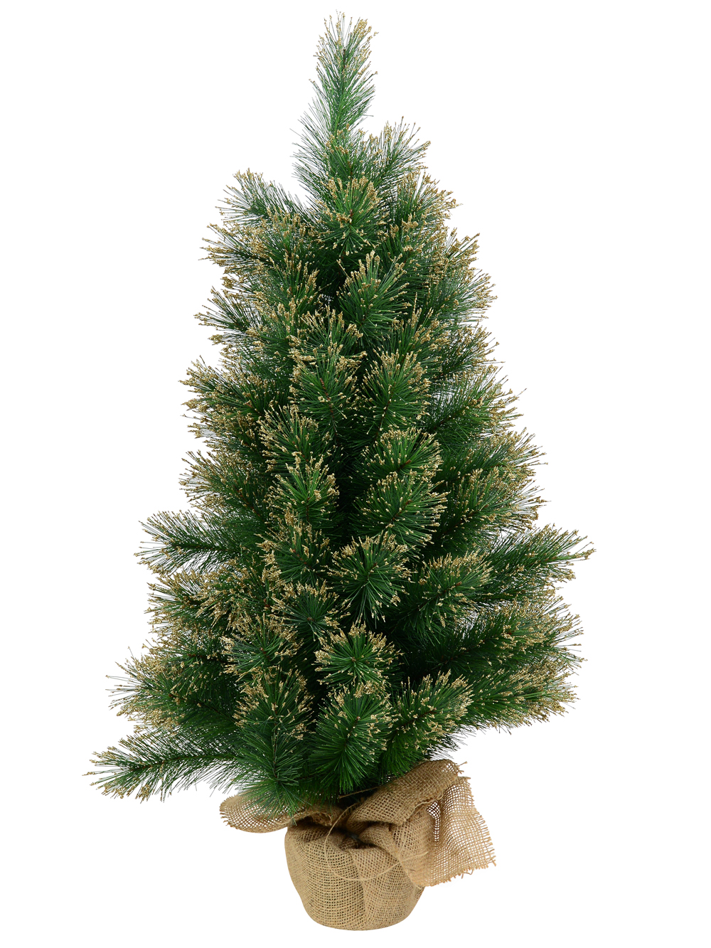 tabletop evergreen trees