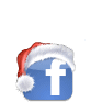 fbicon