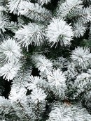 2.3m Yukon Winter Moderately Flocked Tree With 1265 Spruce & Fir Tips
