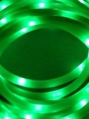 100 LED Green USB Snake Rope Light - 5m