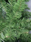 Norway Pine Christmas tree - 1.8m