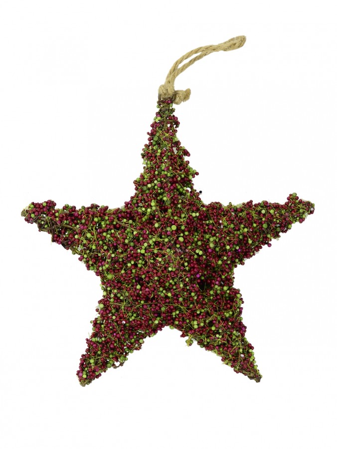 The Moss Vale Hanging Star Decoration - 23cm