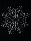 84cm Snowflake With Blue & Cool White LED Rope Light Display