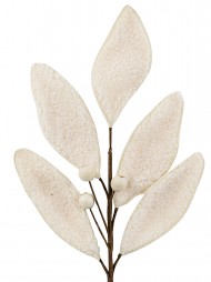 Code STEM2529