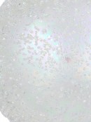30cm Clear Iridescent Large Display Beaded Bauble