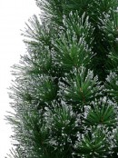 Silver Glittered Needle Tip Pine Tabletop Christmas Tree with 96 Tips - 90cm