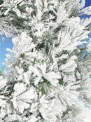 Flocked Antarctic Pine Wreath - 64cm