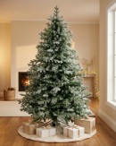 2.3m Alpine Mist Richmond River Spruce Christmas Tree | 1822 Awl Shape Tips