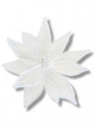 Code PICK2622