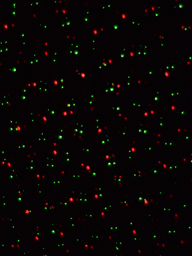 Red & Green Dot Starry Night Pattern Garden Laser Light - 12m X 12m