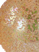 20cm Iridescent Champagne Orange Large Display Beaded Bauble