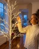 1.8m Neutral White LED Twig 3D Outdoor Christmas Birch Tree | 96 Lights