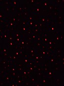 Red & Green Dot Starry Night Pattern Garden Laser Light - 12m X 12m