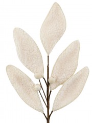 Code STEM2529