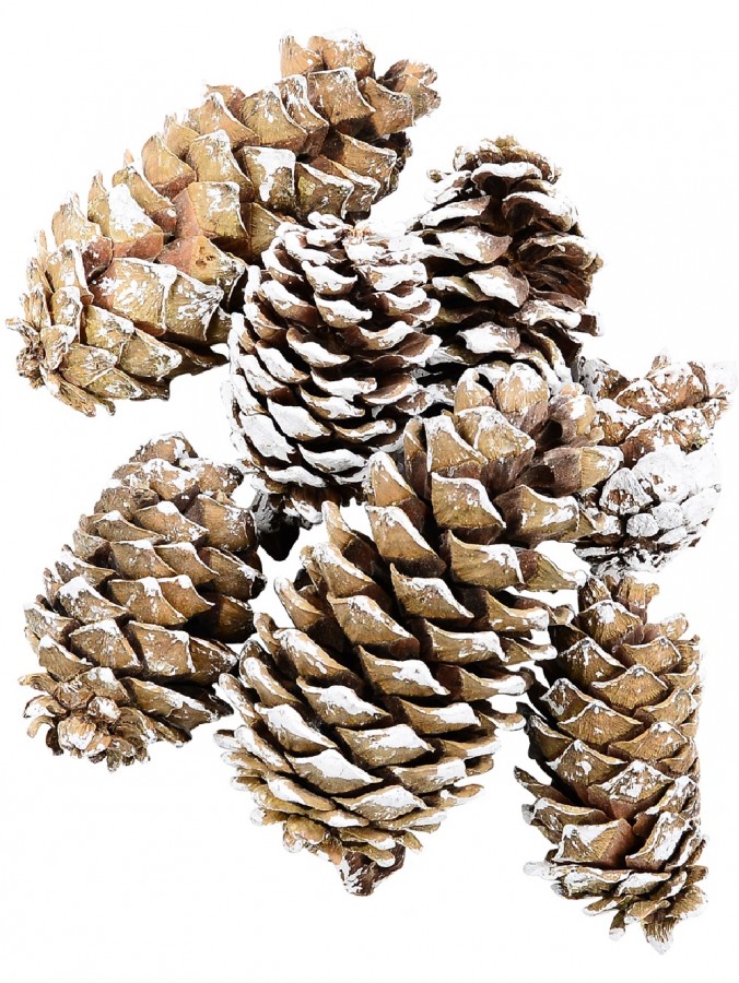 White Frosted Tip Christmas Natural Pine Cone Decorations - 300g