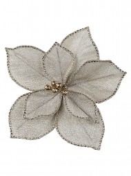 Code PICK2531