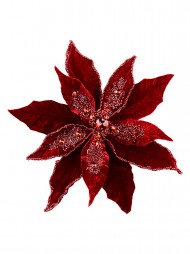 Code PICK2513
