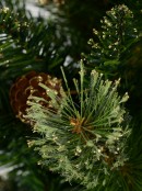 Golden Twilight Christmas Tree - 1.8m