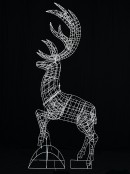2.2m Warm White LED Taking Flight Life Size Reindeer Light Display