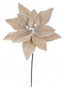 Champagne Khaki Velvet Christmas Poinsettia Stem With Faux Pearl Trim | 28cm