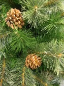 Stratford Mixed Pine Potted Christmas Tree - 1.1m