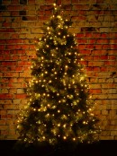500 Warm White LED 25m String Fairy Light
