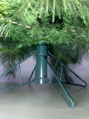 Siberian Cedar Pine Christmas Tree With 797 Tips - 1.8m