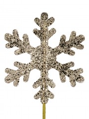 Code STEM2325