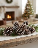 Natural White Snow Frosted Pinecones | 300g