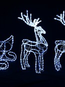 Cool White LED 3D Sleigh & Two Reindeer Rope Light Display - up to 1.8m