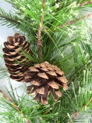 Mixed Pine Branch Garland With Pine Cones - 2.7m