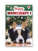 Cats & Dogs Design With Metallic Text Christmas Greeting Cards - 10 x 175mm