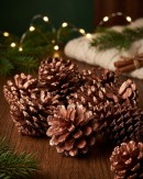 Natural Large Copper Glittered Pinecones | 200g