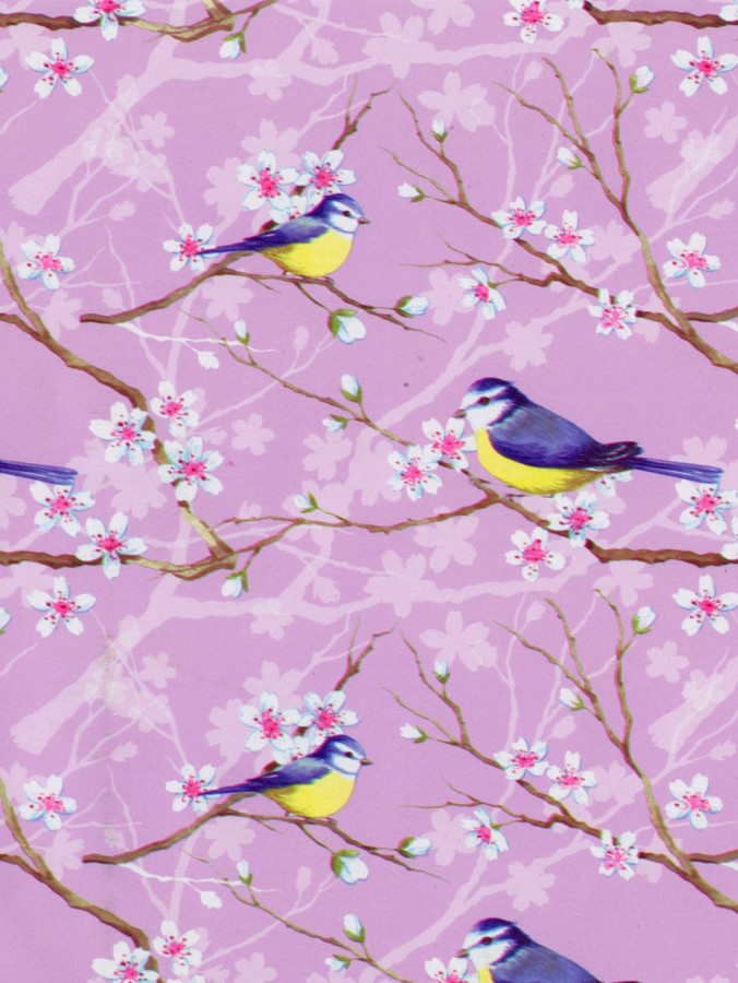 Blossom Birds Gift Wrap Counter Roll - 50m