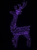 Rainbow Reindeer 3D Smart LED Outdoor Christmas Motif | 1.5m 17 Sequences
