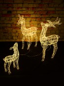 3D Reindeer Family Of 3 Warm White Naked Wire LED Light Display