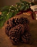 Natural Large Raw Pinus Pinecones | 250g