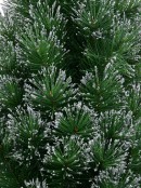 Silver Glittered Needle Tip Pine Tabletop Christmas Tree with 96 Tips - 90cm