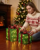 Green Glitter Mesh 3D Gift Box LED Display Set | 25cm & 20cm
