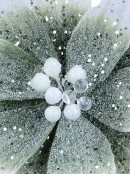 Sage Mint Ombre Velvet Poinsettia Long Stem With Silver Sequins | 30cm