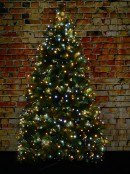 1000 Warm & Cool White LED 50m String Fairy Light