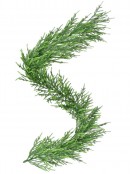 Cedar Leaf Christmas Garland | 1.8m 120 Tips