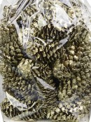 Decorative Gold & Champagne Glittered Round Christmas Pine Cones - 100g