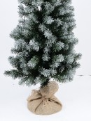 Whitetip Pine Slim Traditional Christmas Tree With 212 Tips - 1.5m