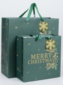 Large Green Gift Bag With Gold Merry Christmas & Mixed Foliage Print
