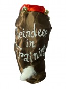 Reindeer In Training Satin Pet Suit - Fit most small dogs