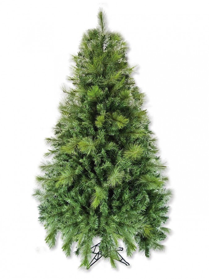 Virginia Pine Christmas Tree - 1.8m