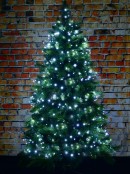500 Cool White LED String Fairy Lights 8 Function | 25m