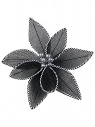 Code PICK2533