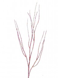 Code STEM2526